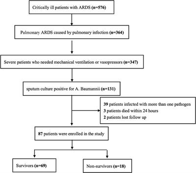 Early Alterations of Lymphocyte Subsets in Acute Respiratory Distress Syndrome Caused by Acinetobacter baumannii Pneumonia: A Prospective Observational Study